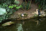 DSC_9188.JPG